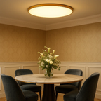 Modern sleek round ceiling lamp