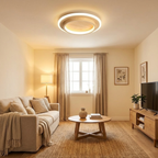 Strakke ring plafondlamp voor een moderne sfeer