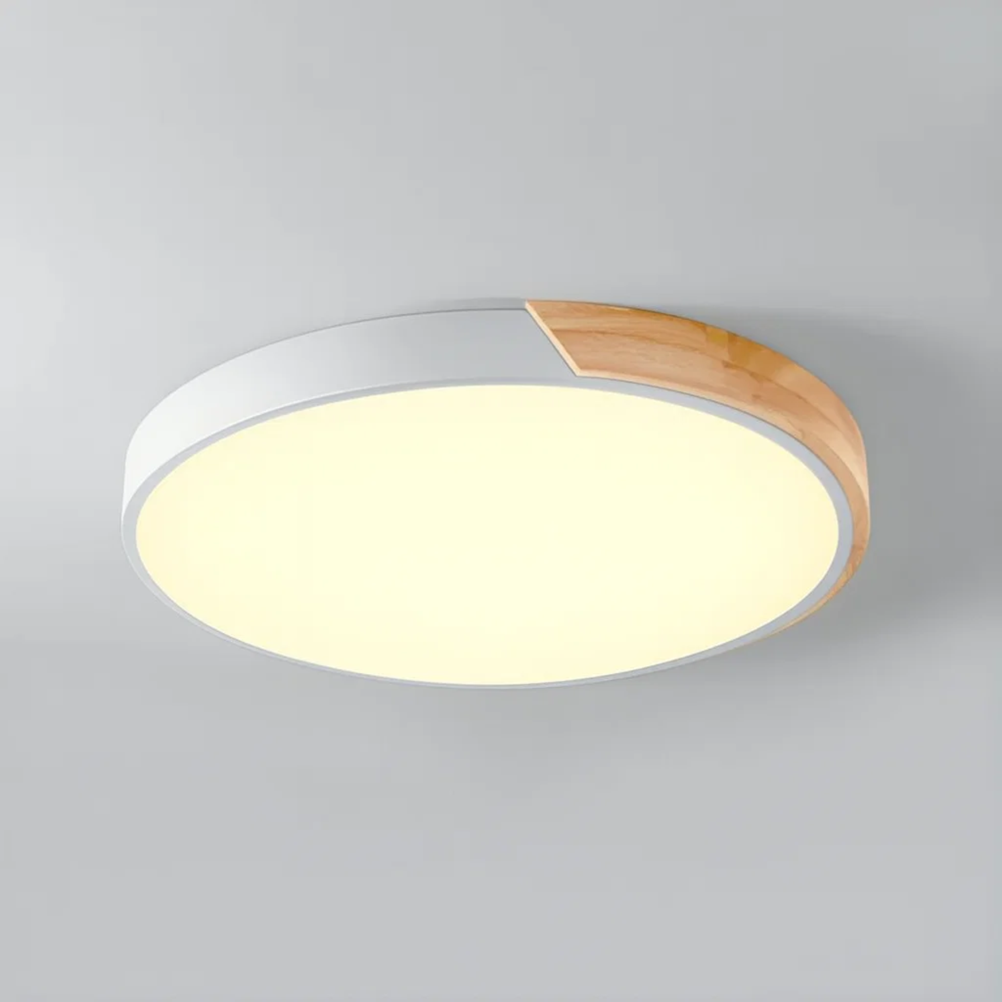 Ronde LED plafondlamp met kleuraccent