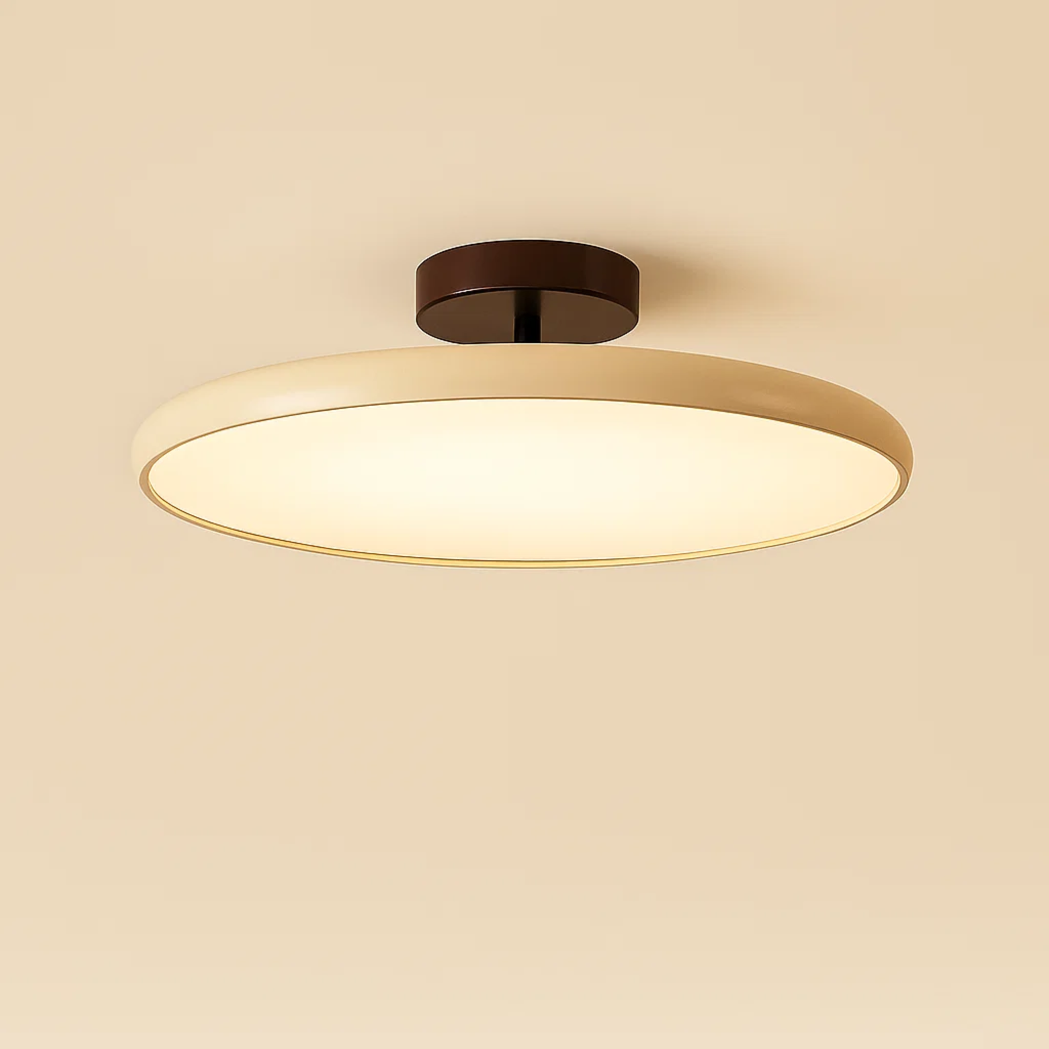 Minimalistische acryl drift plafondlamp