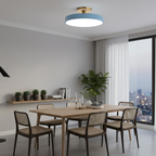 Strakke ronde plafondlamp voor een modern interieur