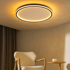 Ronde led-plafondlamp met afstandsbediening