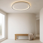 Ronde led-plafondlamp met afstandsbediening