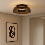 Modern LED Surface-Mounted Ceiling Lamp with Glass Shade