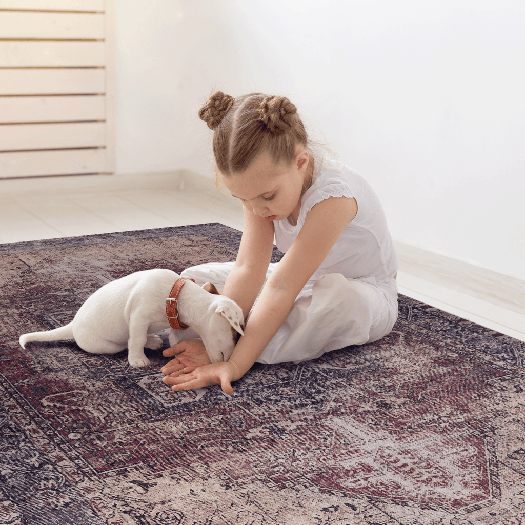 Birte Washable Rug