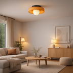 Modern ceiling lamp with round shade for bright light