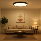 Modern sleek round ceiling lamp