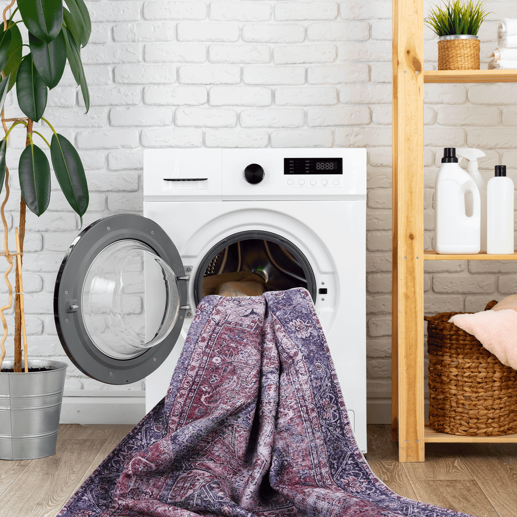 Birte Washable Rug
