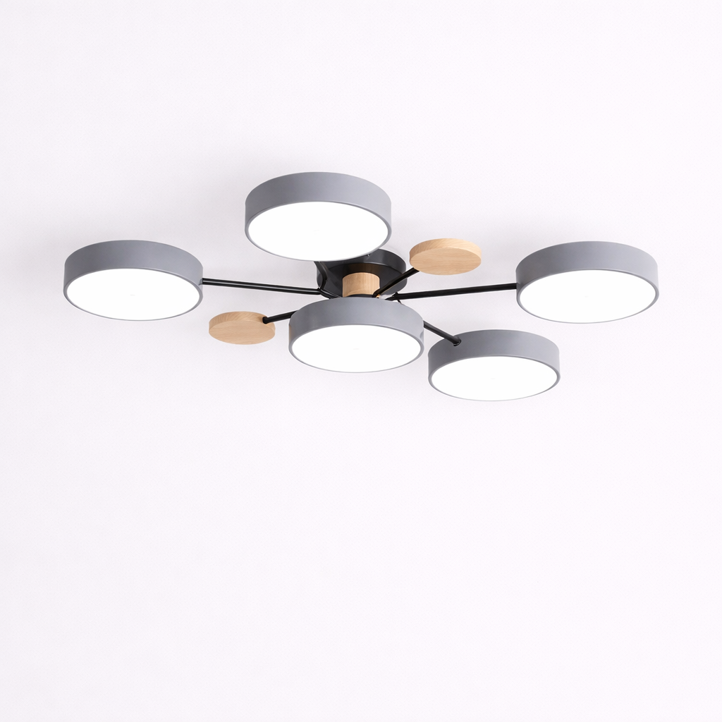 Ronde LED Plafondlamp Voor Moderne Interieurs