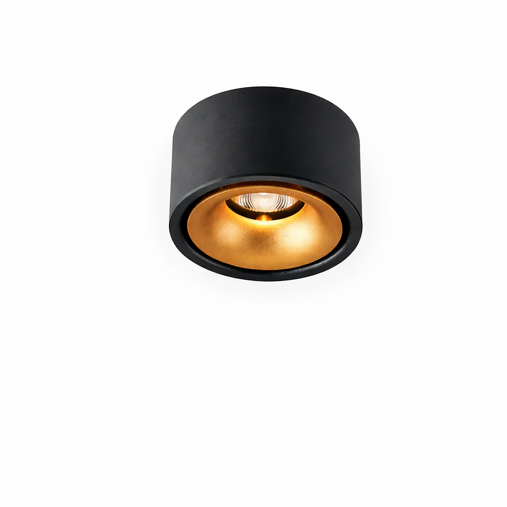 Moderne LED Plafondspot Met Gerichte Lichtbundel