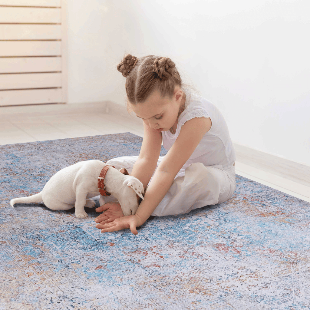 Claes Washable Rug