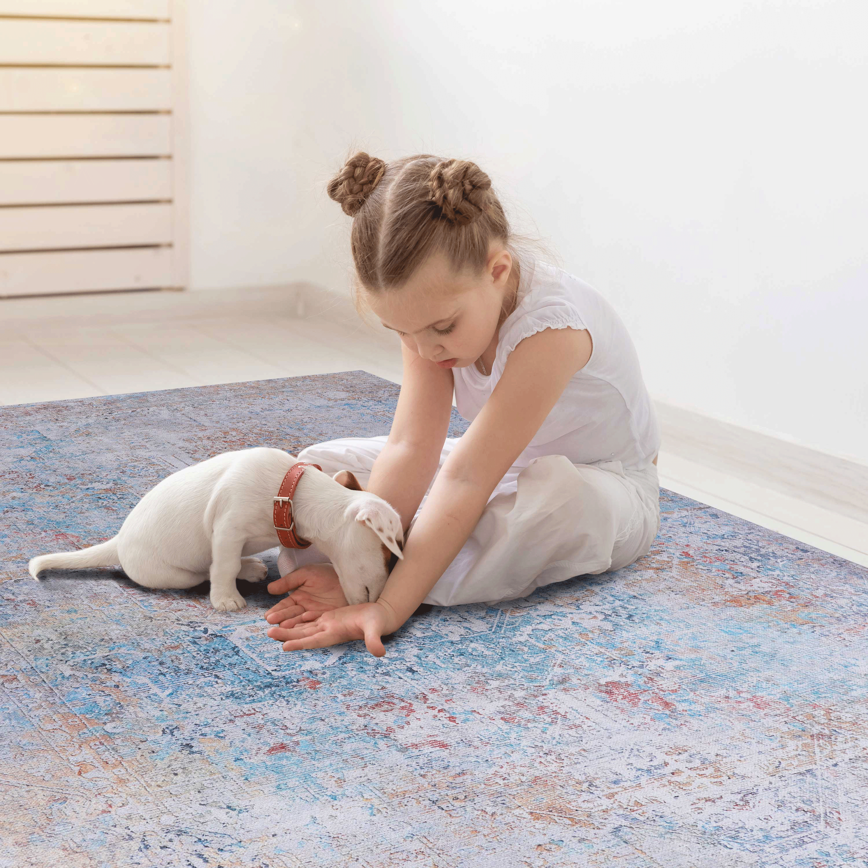Claes Washable Rug