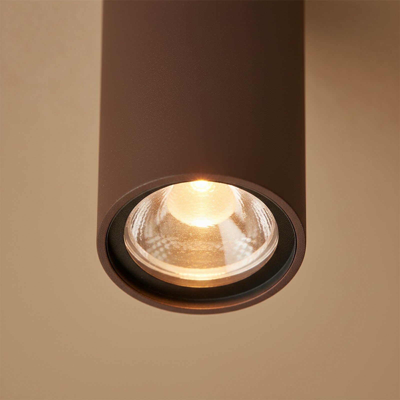 Max Big 83 Outdoor Ceiling Light - Detail Close-up