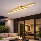 Elongated Aluminum LED Ceiling Lamp with Semi-Flush Mount