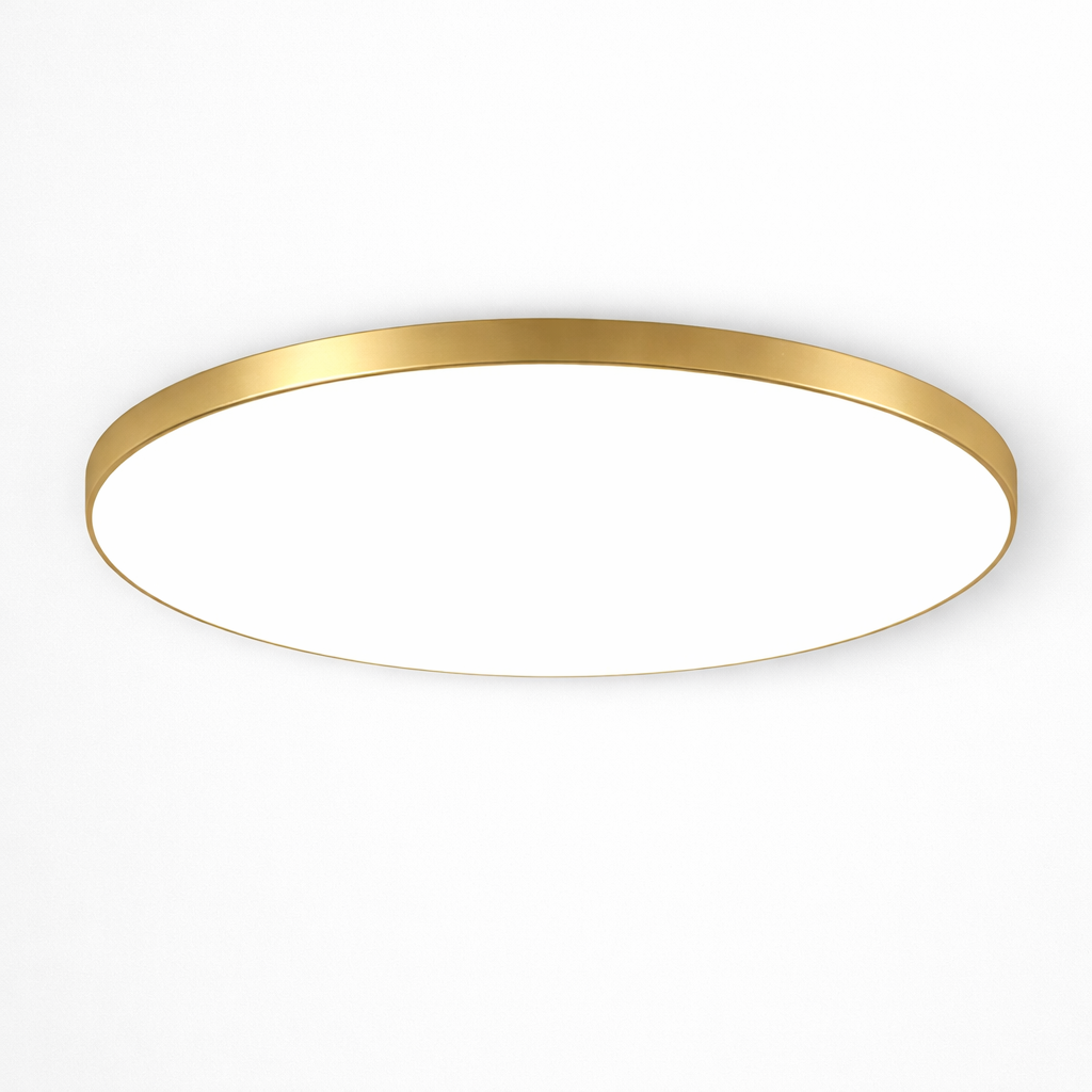 Minimalist Round LED Ceiling Fixture